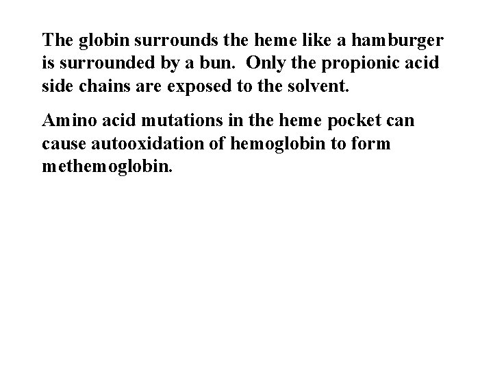 The globin surrounds the heme like a hamburger is surrounded by a bun. Only