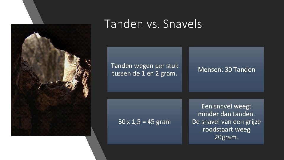 Tanden vs. Snavels Tanden wegen per stuk tussen de 1 en 2 gram. Mensen: