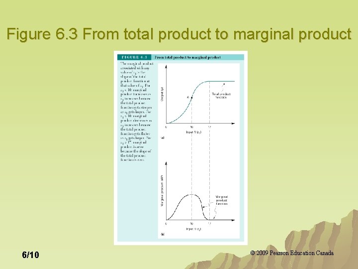Figure 6. 3 From total product to marginal product 6/10 © 2009 Pearson Education Figure 6. 3 From total product to marginal product 6/10 © 2009 Pearson Education