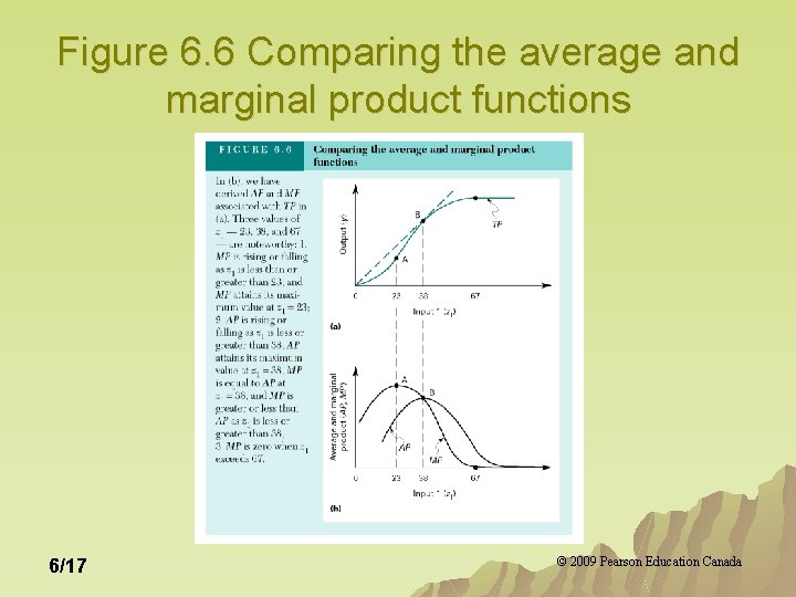 Figure 6. 6 Comparing the average and marginal product functions 6/17 © 2009 Pearson Figure 6. 6 Comparing the average and marginal product functions 6/17 © 2009 Pearson