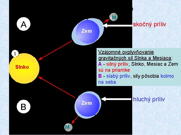 M skočný príliv Zem Vzájomné ovplyvňovanie gravitačných síl Slnka a Mesiaca: A - silný