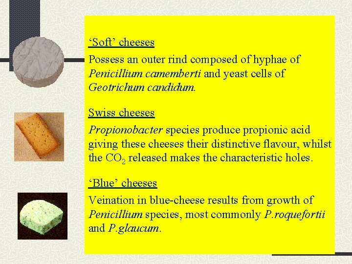 ‘Soft’ cheeses Possess an outer rind composed of hyphae of Penicillium camemberti and yeast