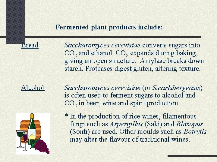 Fermented plant products include: Bread Saccharomyces cerevisiae converts sugars into CO 2 and ethanol.