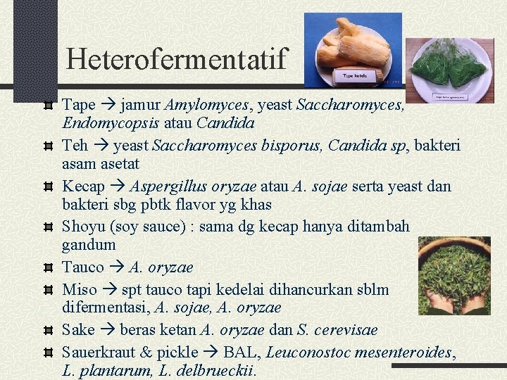 Heterofermentatif Tape jamur Amylomyces, yeast Saccharomyces, Endomycopsis atau Candida Teh yeast Saccharomyces bisporus, Candida