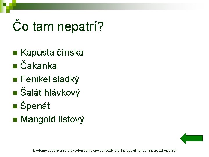 Čo tam nepatrí? Kapusta čínska n Čakanka n Fenikel sladký n Šalát hlávkový n