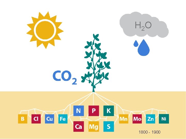 H 2 O Ni 1800 - 1900 