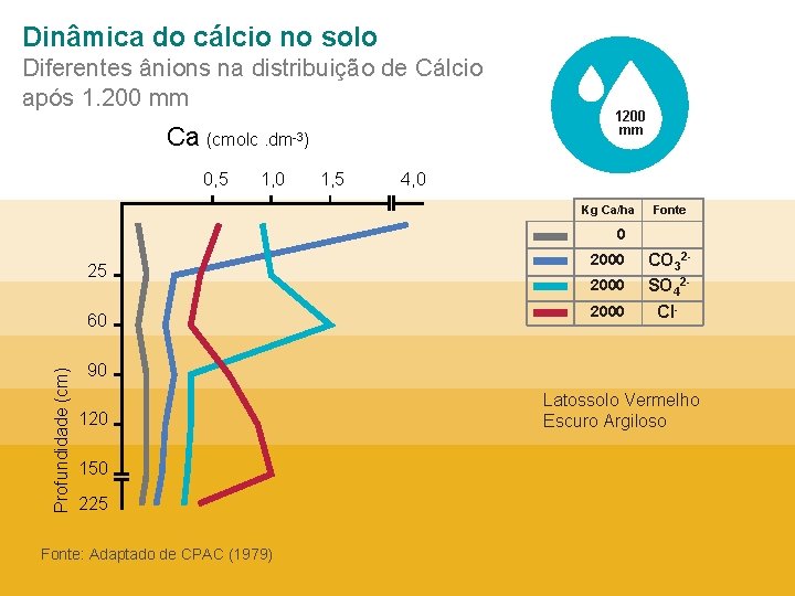 Dinâmica do cálcio no solo Diferentes ânions na distribuição de Cálcio após 1. 200