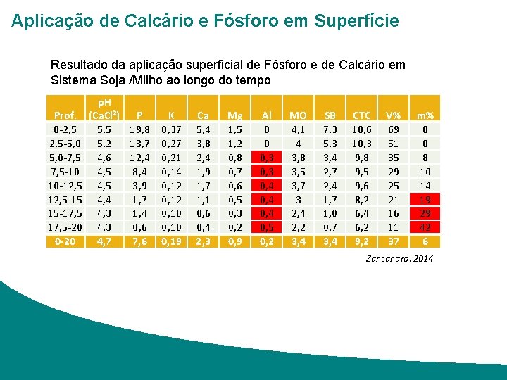 Aplicação de Calcário e Fósforo em Superfície Resultado da aplicação superficial de Fósforo e