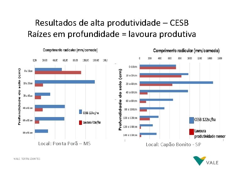 Resultados de alta produtividade – CESB Raízes em profundidade = lavoura produtiva Local: Ponta