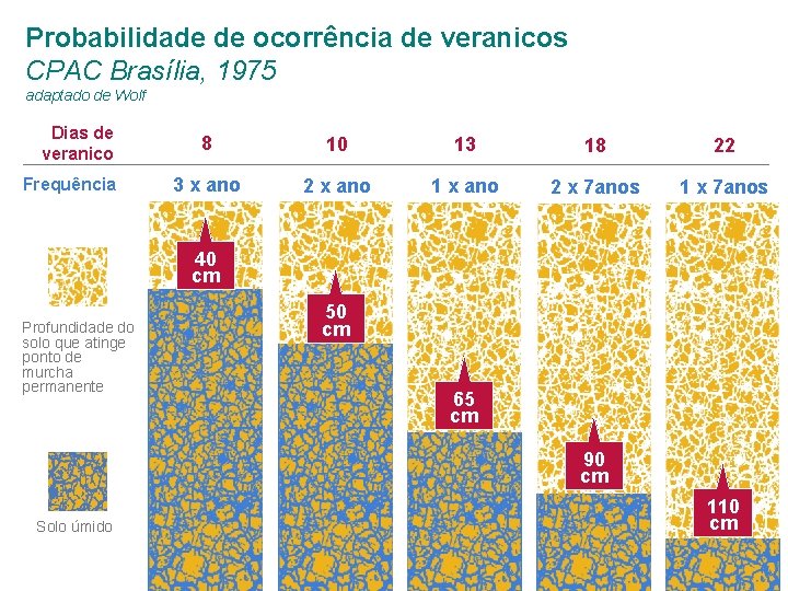 Probabilidade de ocorrência de veranicos CPAC Brasília, 1975 adaptado de Wolf Dias de veranico