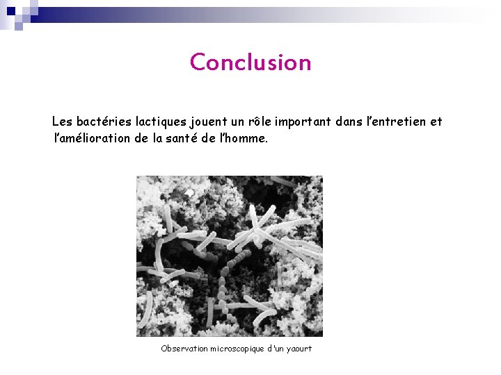 Conclusion Les bactéries lactiques jouent un rôle important dans l’entretien et l’amélioration de la Conclusion Les bactéries lactiques jouent un rôle important dans l’entretien et l’amélioration de la