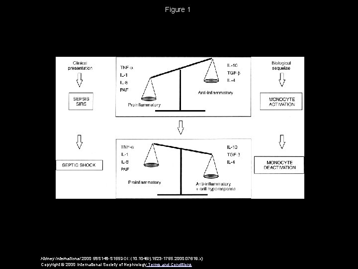 Figure 1 Kidney International 2000 58 S 148 -S 155 DOI: (10. 1046/j. 1523