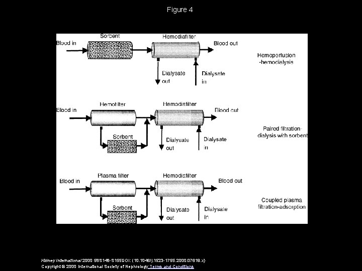 Figure 4 Kidney International 2000 58 S 148 -S 155 DOI: (10. 1046/j. 1523