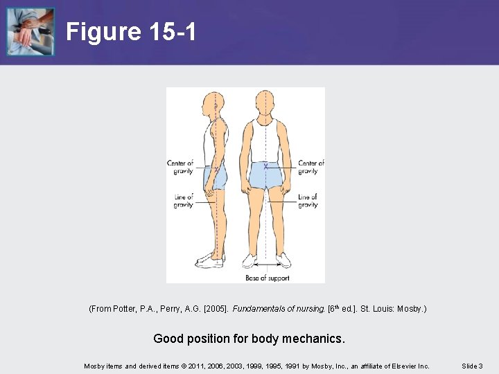 Figure 15 -1 (From Potter, P. A. , Perry, A. G. [2005]. Fundamentals of