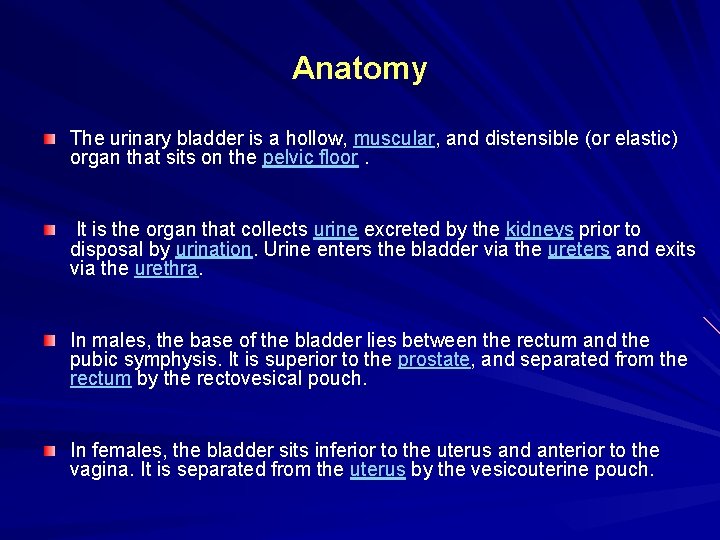 Anatomy The urinary bladder is a hollow, muscular, and distensible (or elastic) organ that