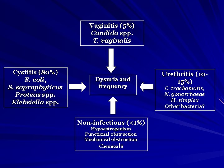 Vaginitis (5%) Candida spp. T. vaginalis Cystitis (80%) E. coli, S. saprophyticus Proteus spp.