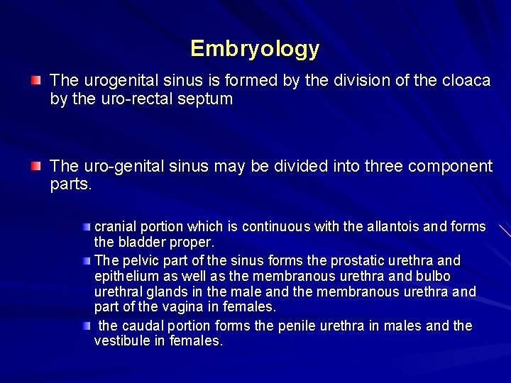 Embryology The urogenital sinus is formed by the division of the cloaca by the