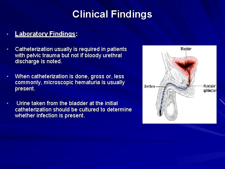 Clinical Findings • Laboratory Findings: • Catheterization usually is required in patients with pelvic