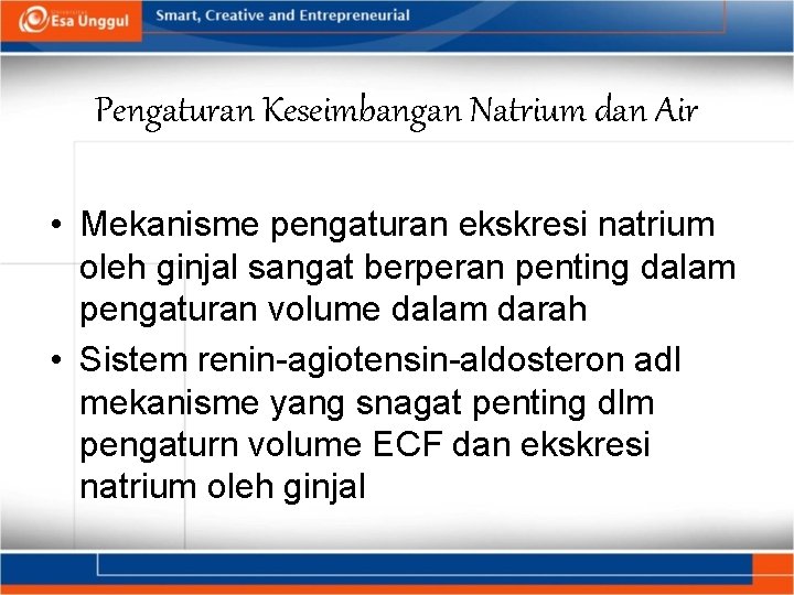 Pengaturan Keseimbangan Natrium dan Air • Mekanisme pengaturan ekskresi natrium oleh ginjal sangat berperan