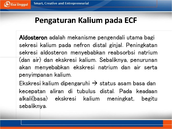 Pengaturan Kalium pada ECF Aldosteron adalah mekanisme pengendali utama bagi sekresi kalium pada nefron