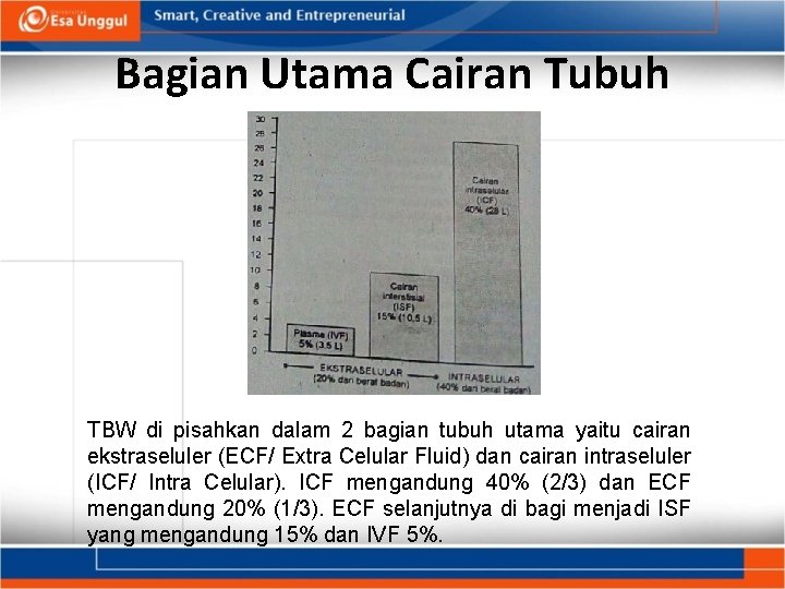 Bagian Utama Cairan Tubuh TBW di pisahkan dalam 2 bagian tubuh utama yaitu cairan