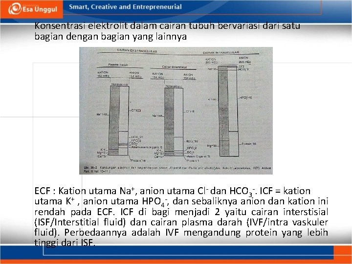 Konsentrasi elektrolit dalam cairan tubuh bervariasi dari satu bagian dengan bagian yang lainnya ECF