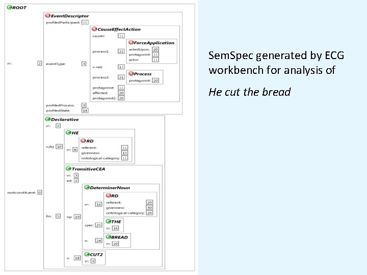 Sem. Spec generated by ECG workbench for analysis of He cut the bread 