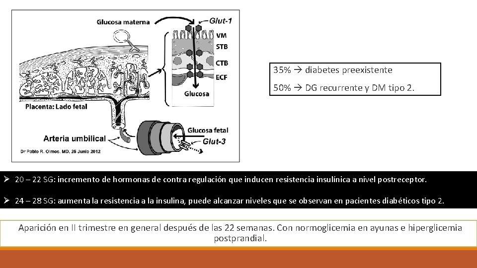 35% diabetes preexistente 50% DG recurrente y DM tipo 2. Ø 20 – 22