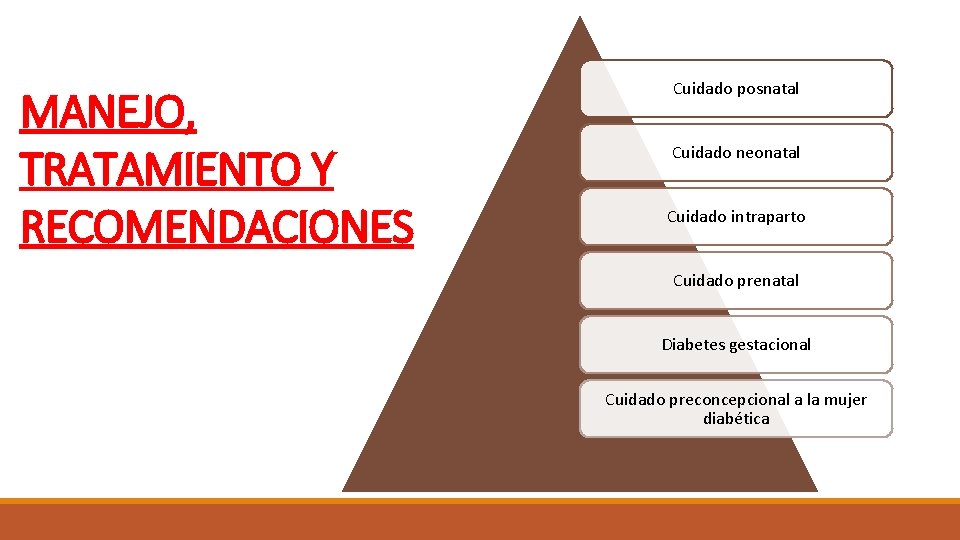 MANEJO, TRATAMIENTO Y RECOMENDACIONES Cuidado posnatal Cuidado neonatal Cuidado intraparto Cuidado prenatal Diabetes gestacional