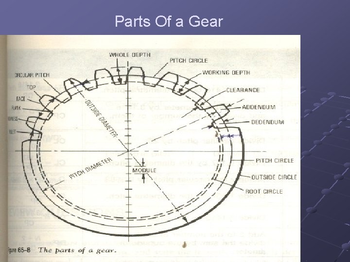 Parts Of a Gear 