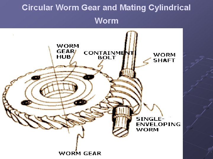 Circular Worm Gear and Mating Cylindrical Worm 