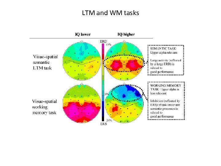 LTM and WM tasks 