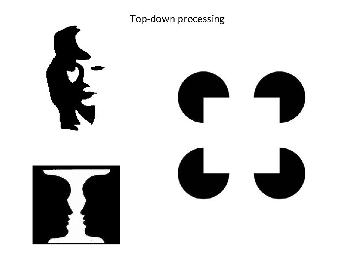 Top-down processing 