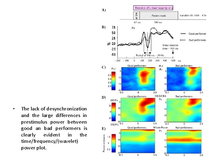  • The lack of desynchronization and the large differences in prestimulus power between