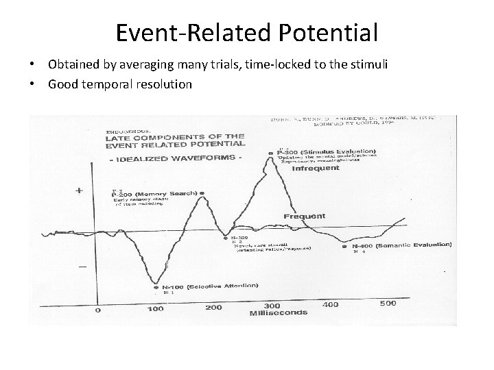 Event-Related Potential • Obtained by averaging many trials, time-locked to the stimuli • Good