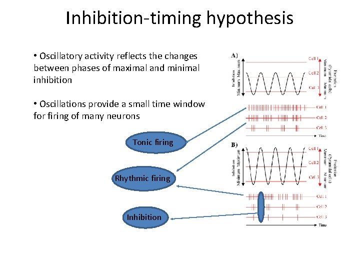 Inhibition-timing hypothesis • Oscillatory activity reflects the changes between phases of maximal and minimal