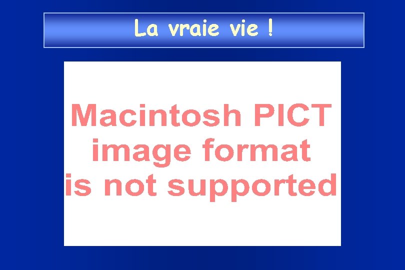 La vraie vie ! 