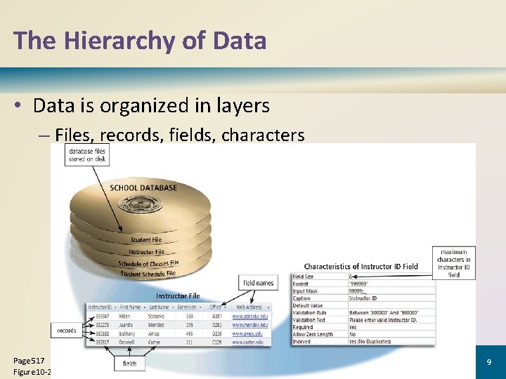 The Hierarchy of Data • Data is organized in layers – Files, records, fields, The Hierarchy of Data • Data is organized in layers – Files, records, fields,