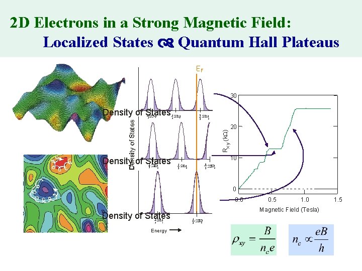 2 D Electrons in a Strong Magnetic Field: Localized States Quantum Hall Plateaus EF