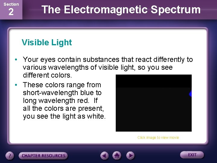 Section 2 The Electromagnetic Spectrum Visible Light • Your eyes contain substances that react