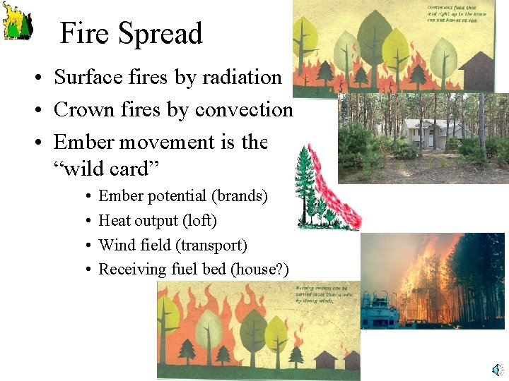 Fire Spread • Surface fires by radiation • Crown fires by convection • Ember