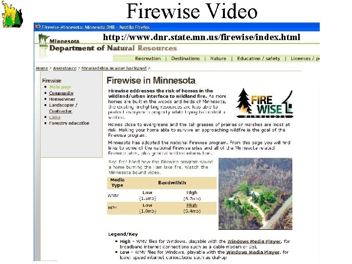 Firewise Video http: //www. dnr. state. mn. us/firewise/index. html 