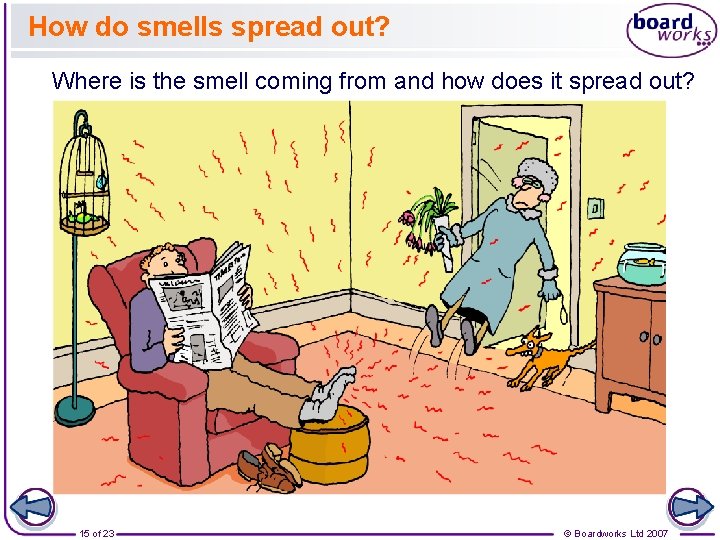 How do smells spread out? Where is the smell coming from and how does