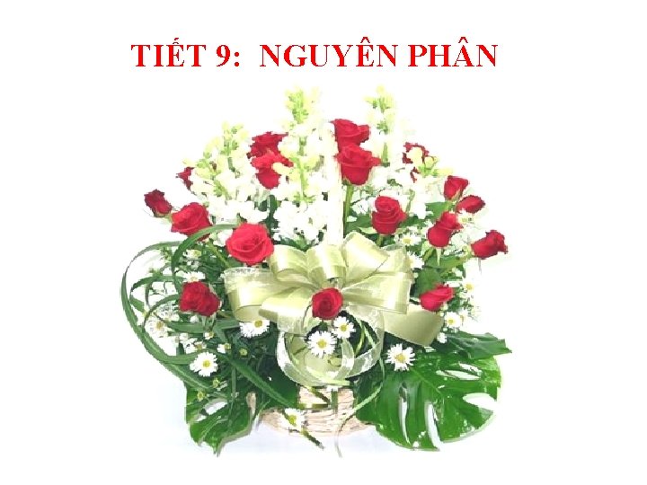 TIẾT 9: NGUYÊN PH N 