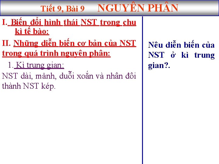 Tiết 9, Bài 9 NGUYÊN PH N I. Biến đổi hình thái NST trong
