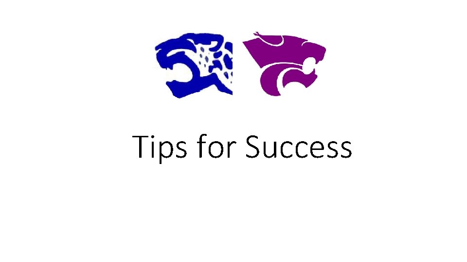 Tips for Success 
