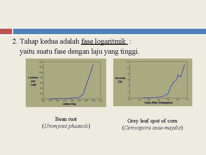 2. Tahap kedua adalah fase logaritmik : yaitu suatu fase dengan laju yang tinggi.