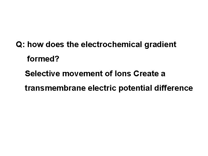 Q: how does the electrochemical gradient formed? Selective movement of Ions Create a transmembrane
