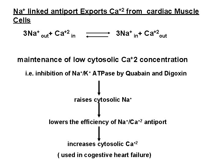 Na+ linked antiport Exports Ca+2 from cardiac Muscle Cells 3 Na+ out+ Ca+2 in