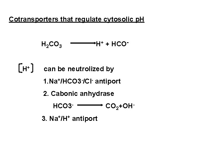 Cotransporters that regulate cytosolic p. H H 2 CO 3 H+ H+ + HCO-